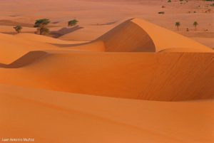 Dunas en Mauritania