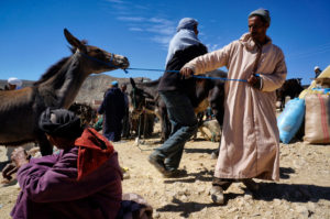 Viaje a Marruecos Alto Atlas