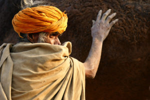 Pushkar Camel Fair