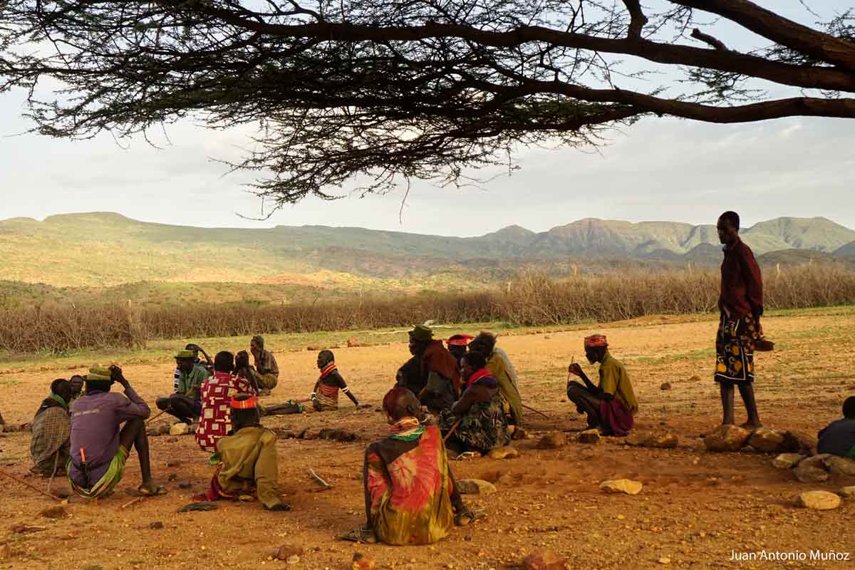 Bajo el arbol Kenia