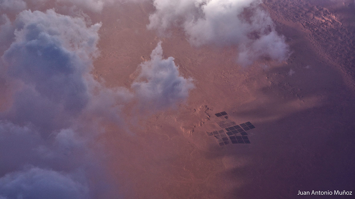 Dunas y plantaciones en el Sahara