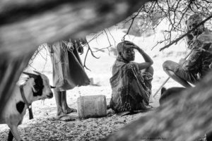 Bajo el árbol Kenia