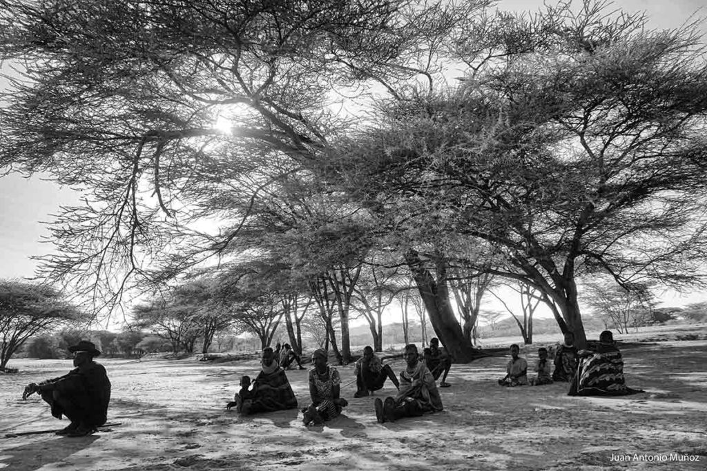Descanso bajo el árbol Kenia