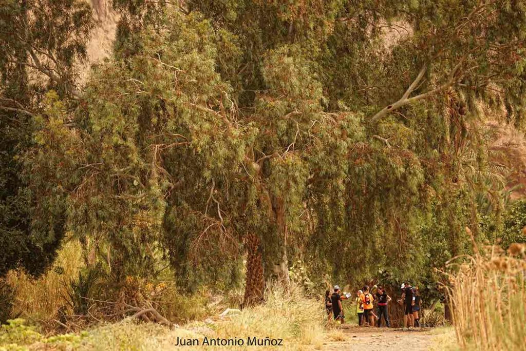 Punto de paso en las selva del Draa Marruecos