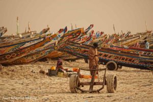 Carromato en playa de Nouakchott Mauritania