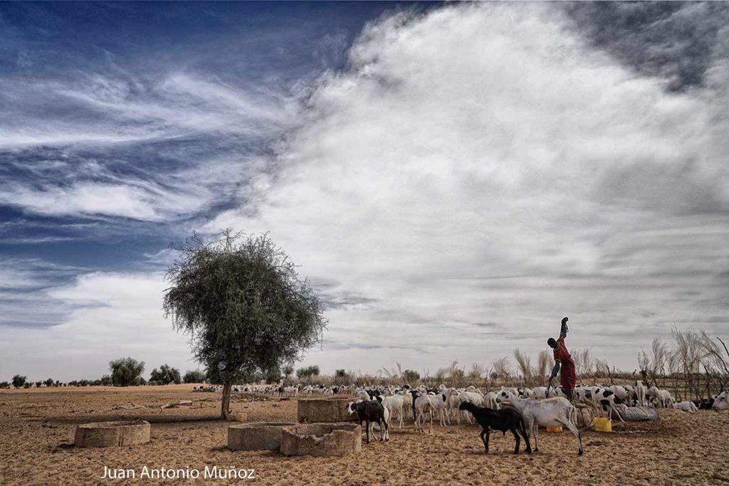 Pozo del sahel. Mauritania