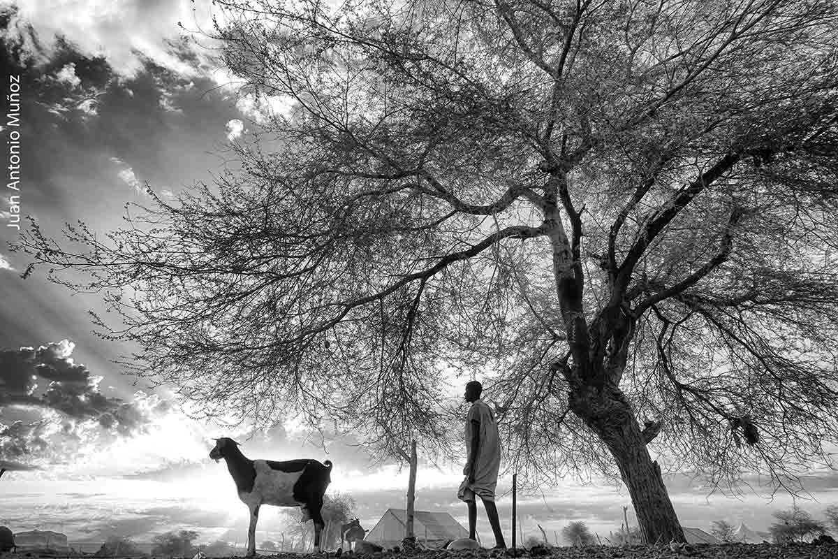 Contraluz amanecer. Mauritania