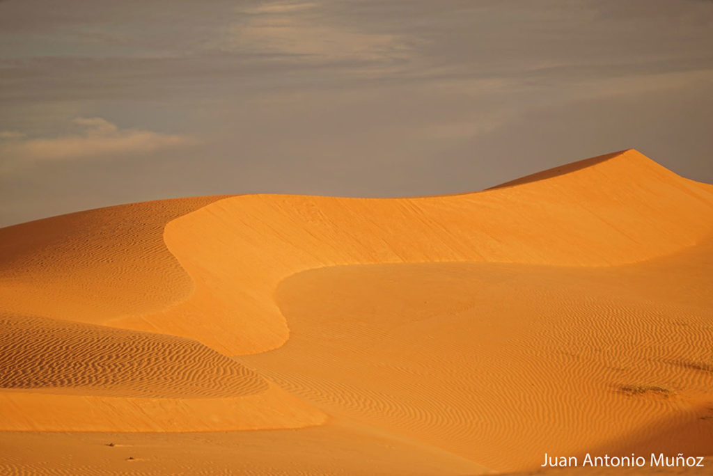 Dunas en Boutilimit. Mauritania