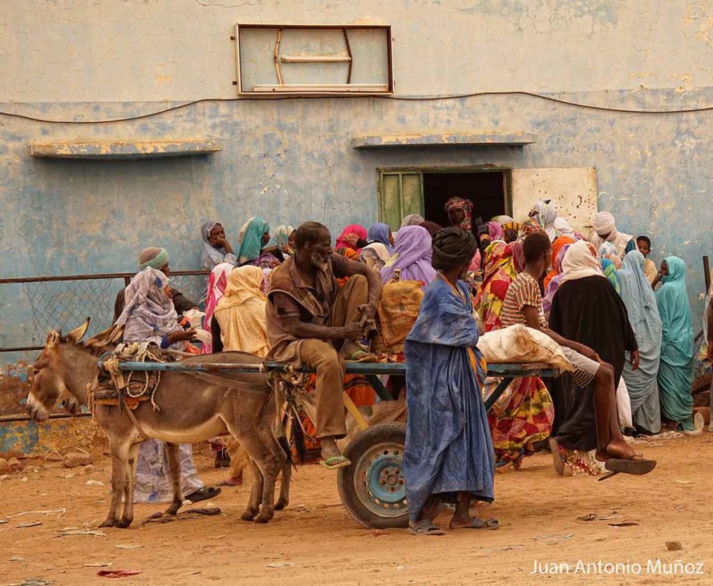 Carromato en el mercado. Mauritania