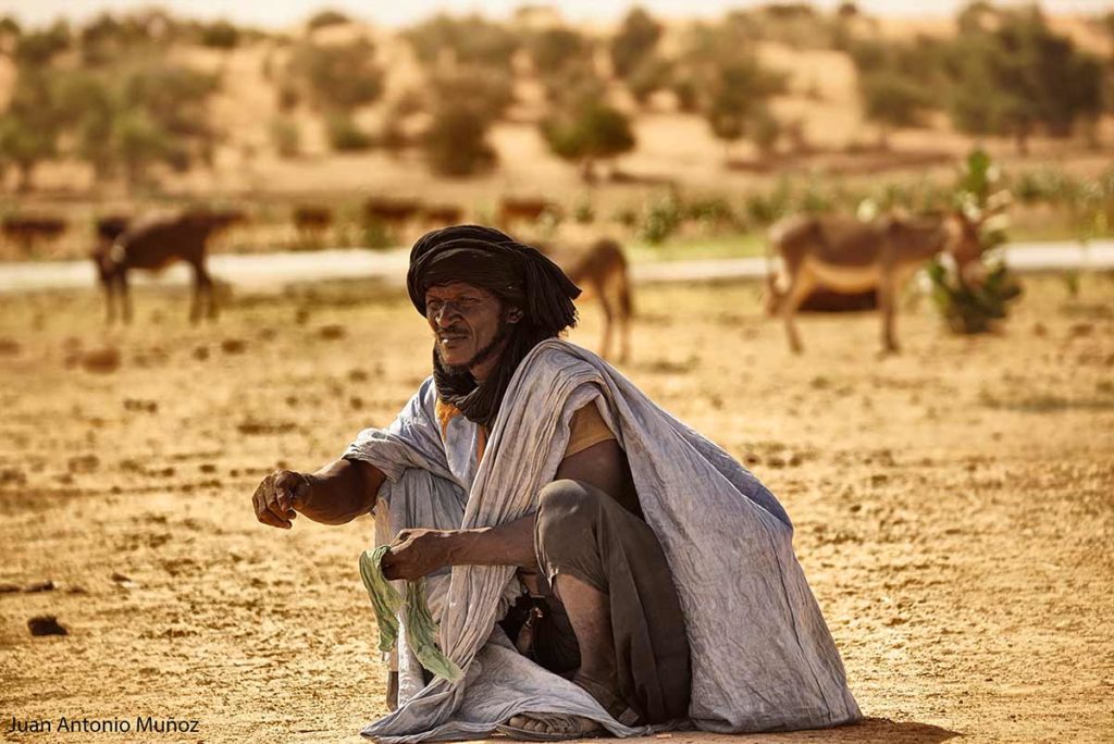 Pastor y ganado. Mauritania