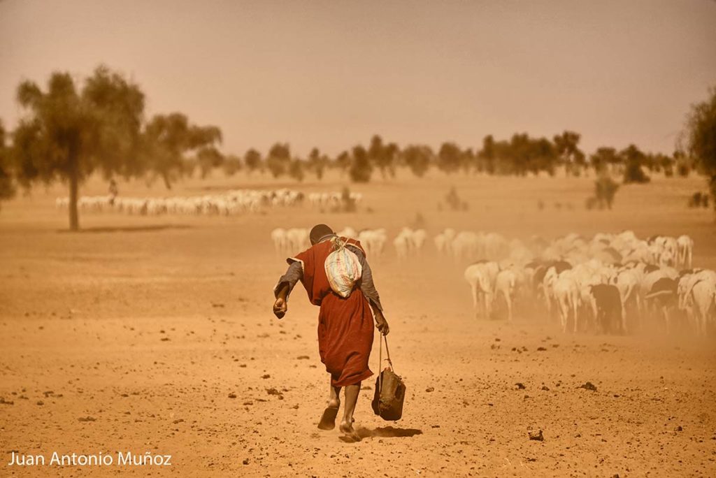 Pastor en el Sahel. Mauritania