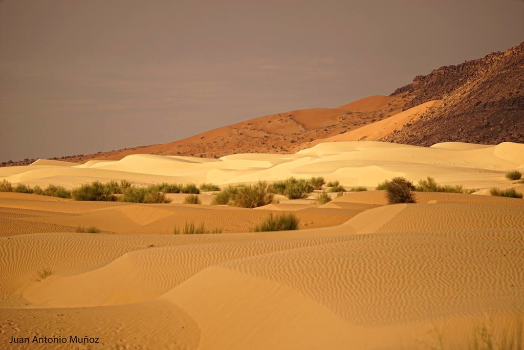 Atardecer en las dunas. Mauritania