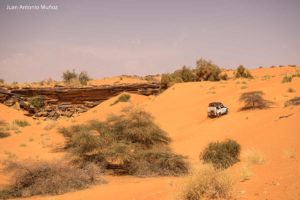 Atacando la duna. Mauritania