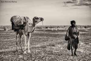 Camellero. Mauritania