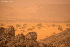 La tormenta de arena. Mauritania