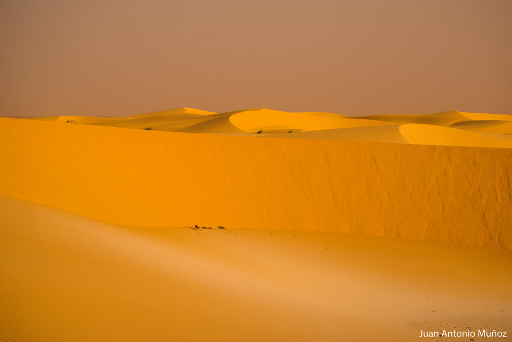 Croma del desierto. Mauritania