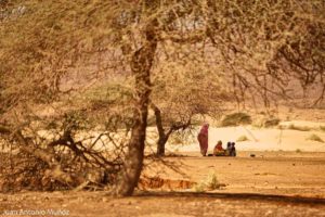 Charla bajo las acacias. Mauritania
