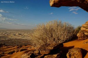 Rocas y arena. Mauritania