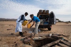 Cargando agua. Mauritania