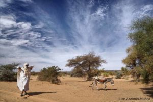 Maura y su burro. Mauritania