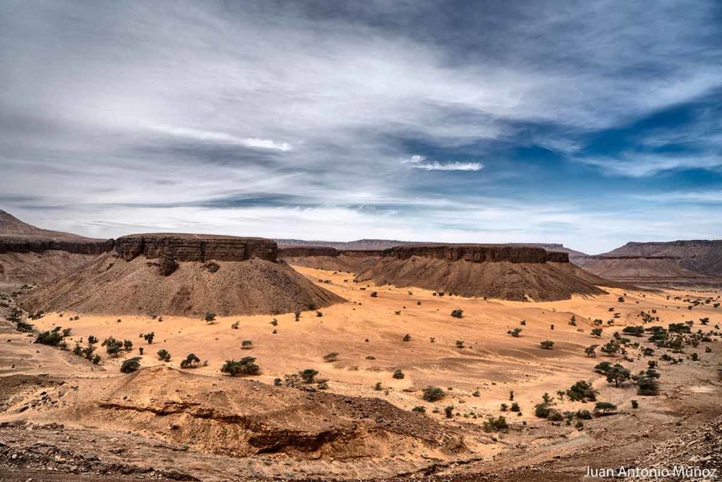 Paisaje del Adrar. Mauritania