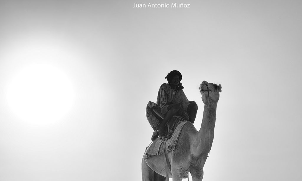 Camellero y atardecer. Mauritania