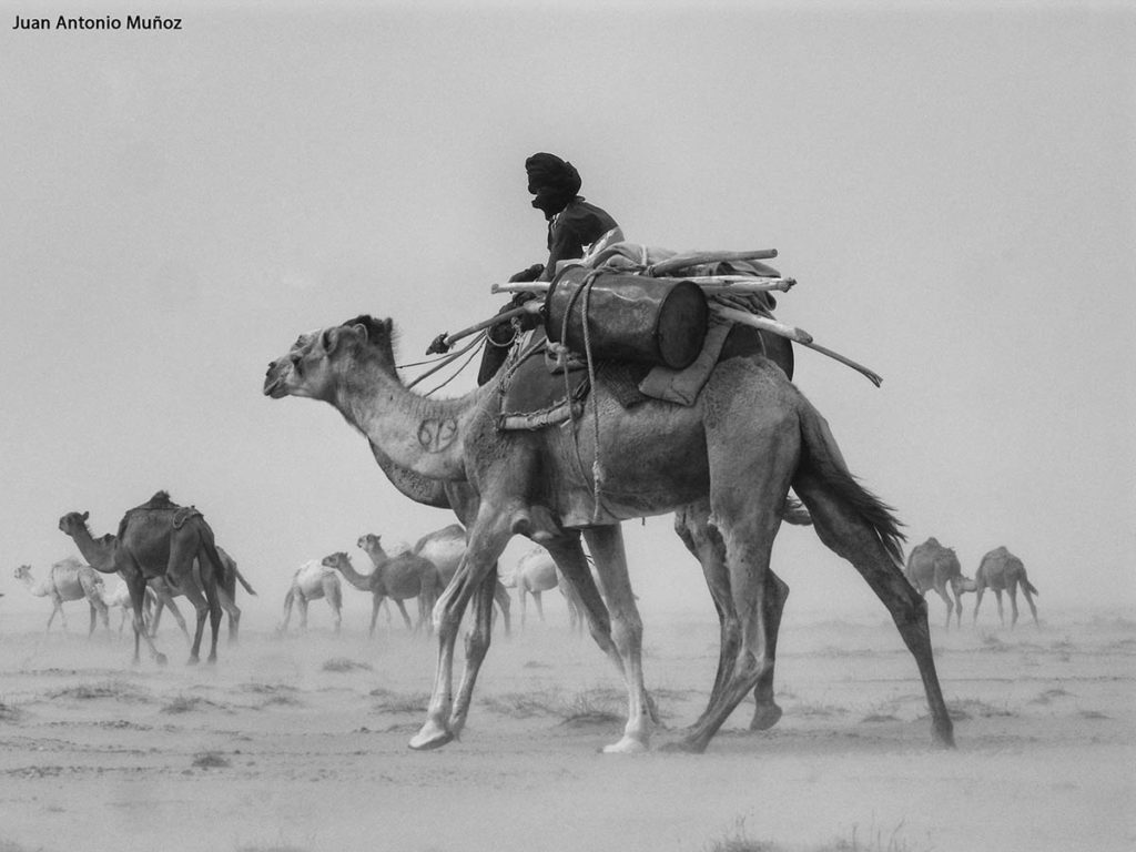 Caravana en tormenta. Mauritania