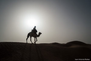 Atardecer Sahara. Marruecos