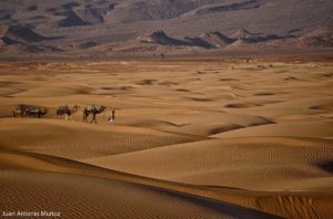 Mar de dunas. Marruecos