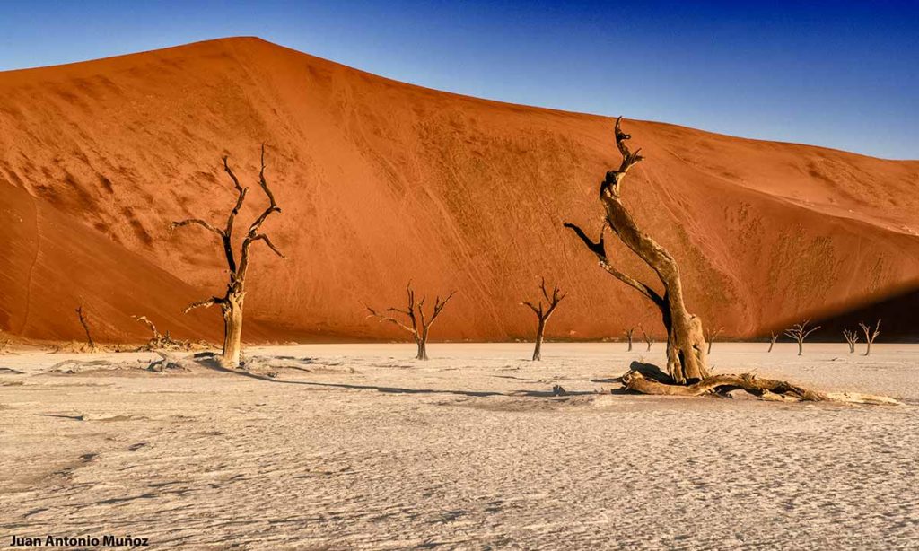 Ded Vlei. Namibia