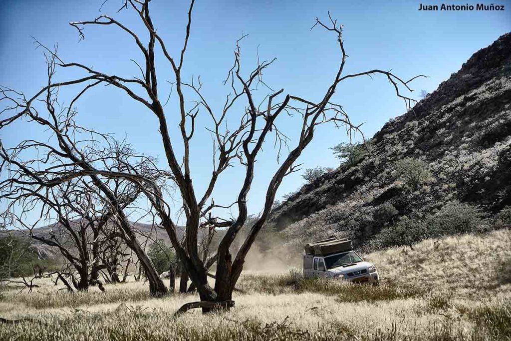 Coche en bosque. Namibia