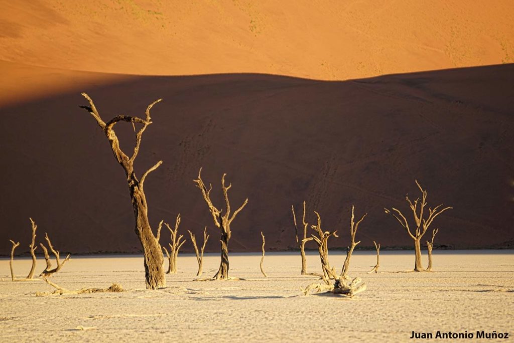 Death Vlai 1. Namibia