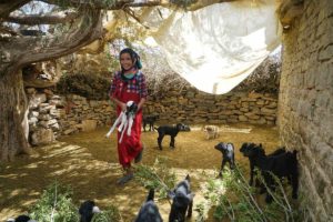 Niña con corderito. Marruecos