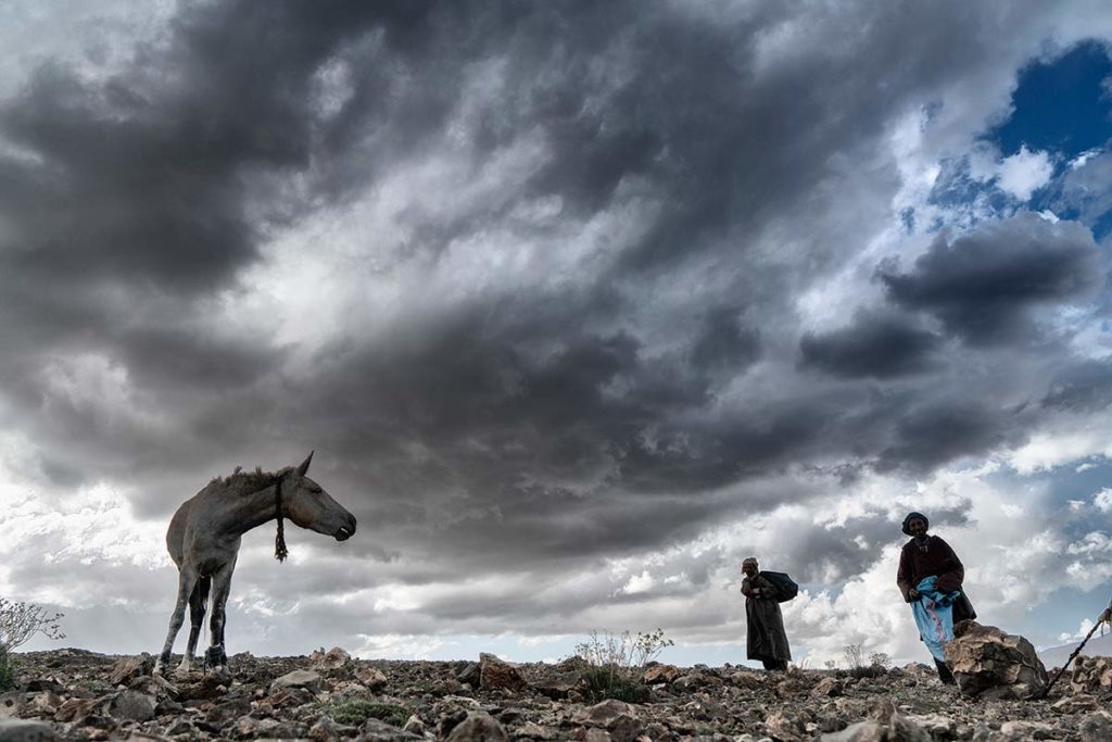 Caballo mirando a nómada. Marruecos