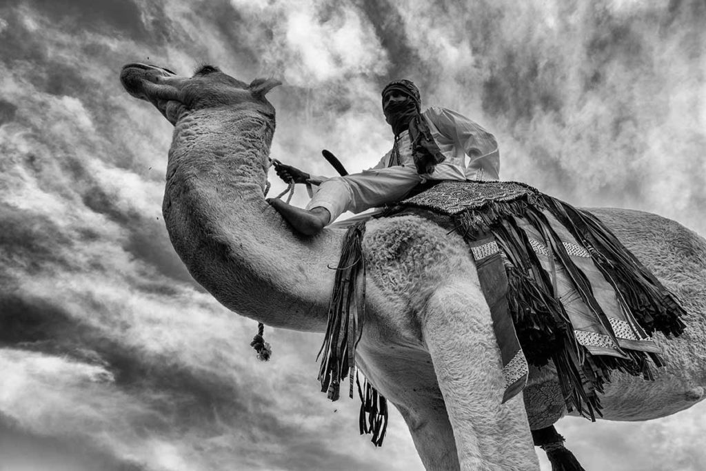 Sobre el camello. Marruecos