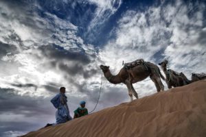 Camellero al atardecer. Marruecos