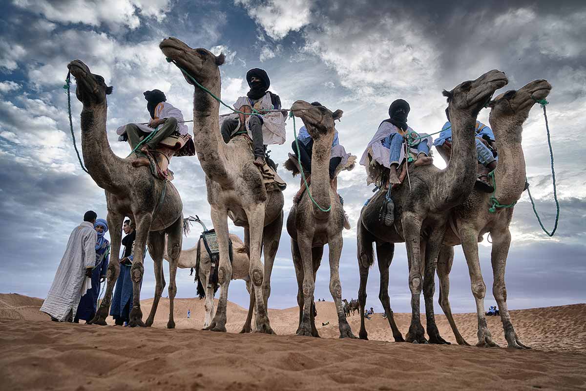 Camelleros en Mhamid. Marruecos