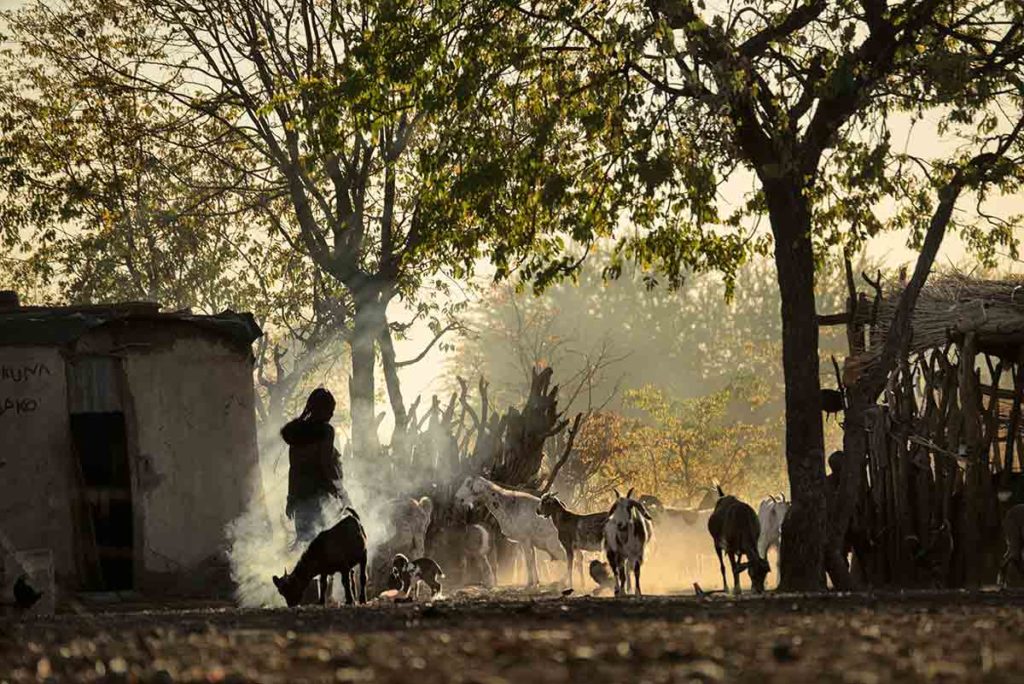 Humos en amanecer. Namibia