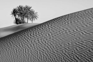 Isla en dunas. Marruecos