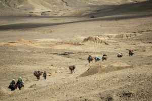 Cabalgando hacia el mercado. Marruecos