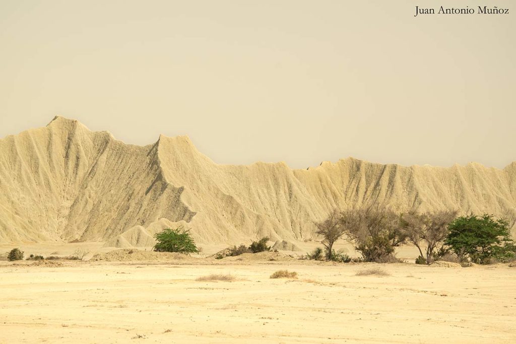 Desierto Irán 2