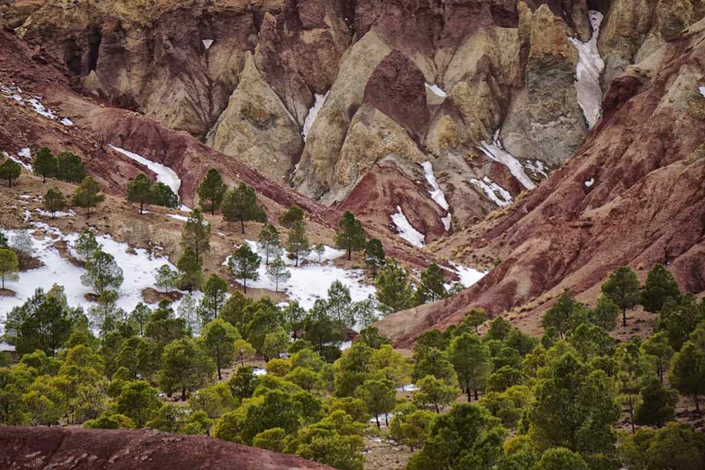 Bosque de colores. Marruecos