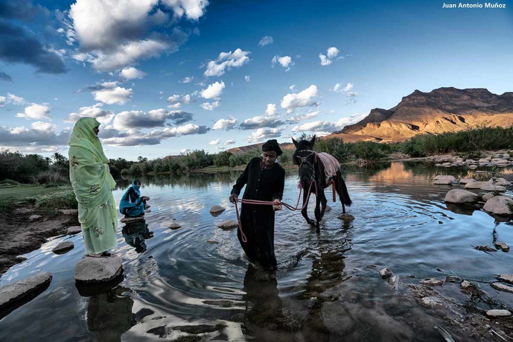 Cruzando a mula el Draa. Marruecos