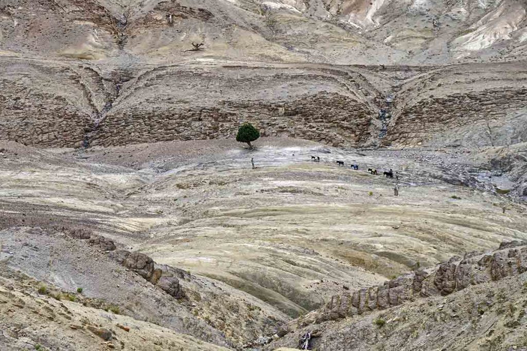 Nómadas en montañas. Marruecos