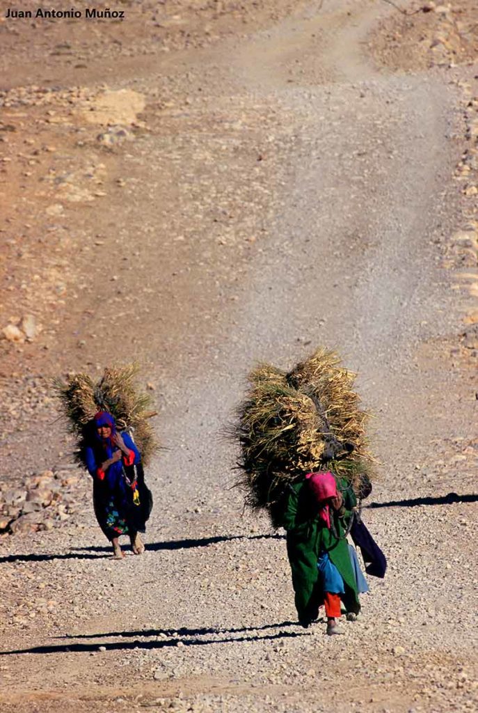 Cargando en Agoudal. Marruecos