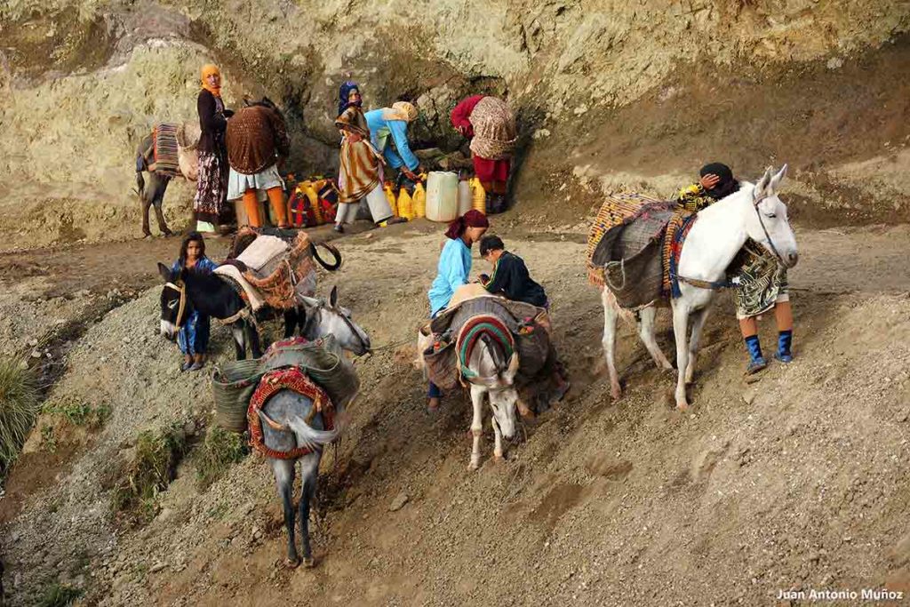 Con las mulas en fuente. Marruecos