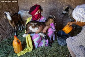 Chicas en establo. Marruecos