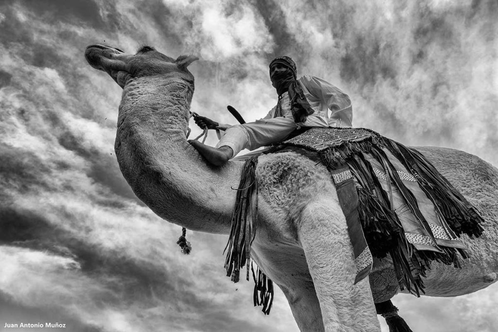 Camellero montado. Marruecos