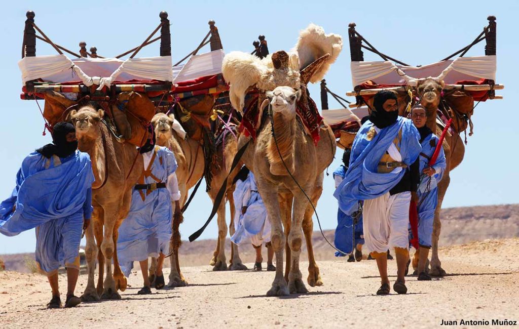 Caravana llegando a Moussem. Marruecos