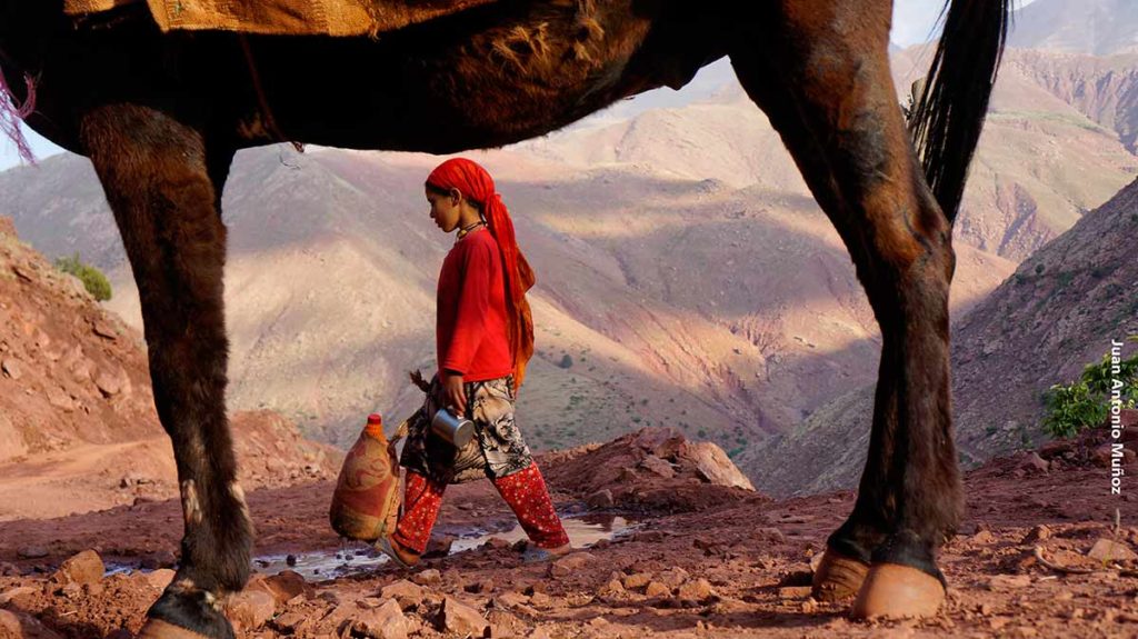 Aguadora entre patas mula. Marruecos